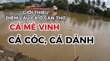 GIỚI THIỆU ĐIỂM CÂU MỚI Ở CẦN THƠ