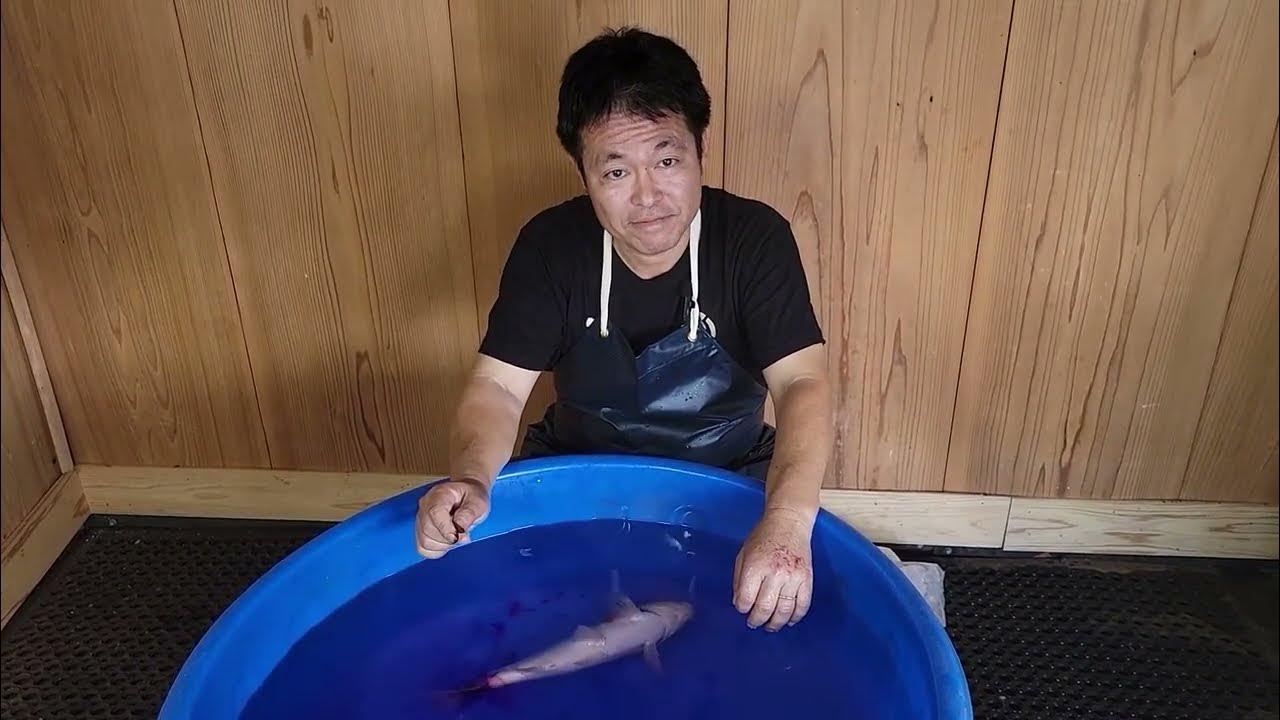 How To Treat Koi Fish Illness Diagnose Symptoms And Treatments For how-to-treat-koi-fish-illness-diagnose-symptoms-and-treatments-for