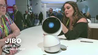 2017 CES ShowCase