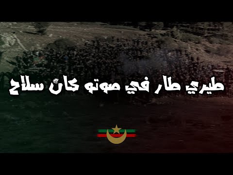 طيري طار في صوتو كان سلاح أولتراس الغرين كورسرز   