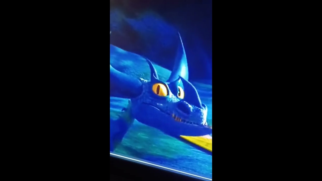 Dragons I WOULD Train Pt2 Typhoomerang Shorts Meme