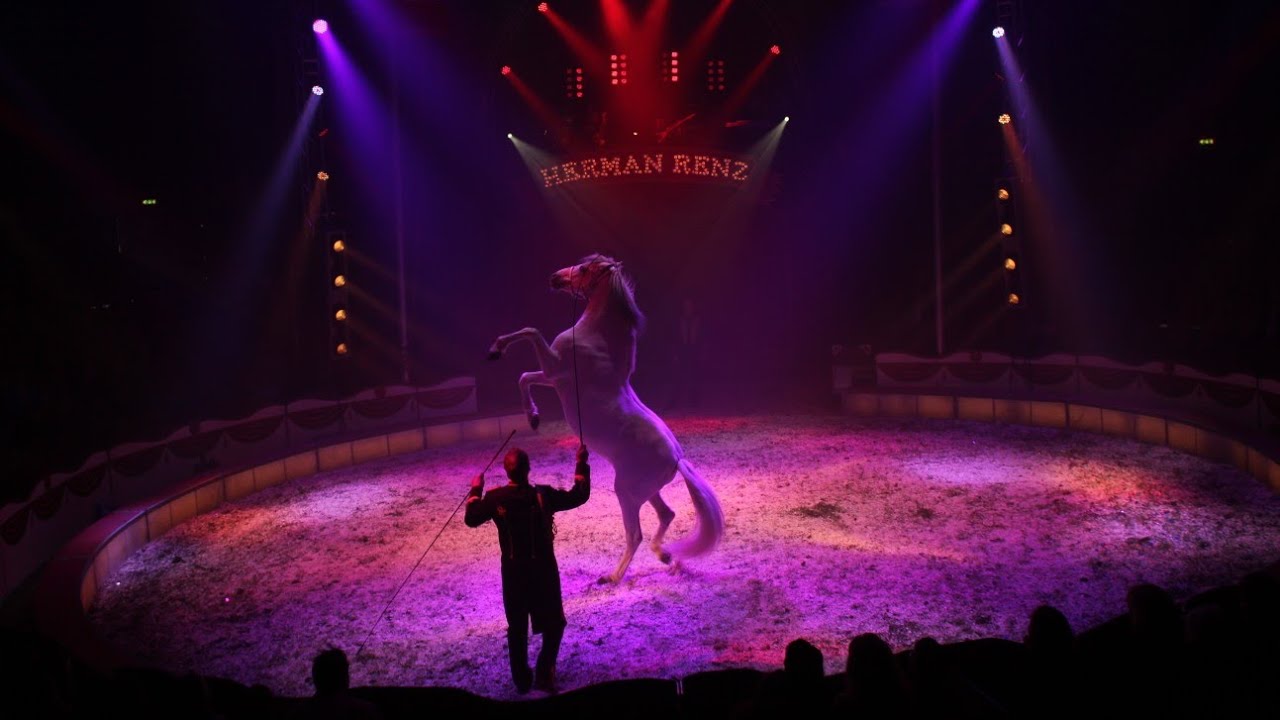 Circus Herman Renz 🇳🇱 Michel Jarz