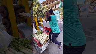 Amazing Sweet Sugar Crane Juice in India - Indian Street Food