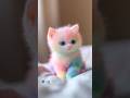 World’s Cutest Rainbow Kitten with Blue Eyes 💙 😍🐱 | AI Generated Cute Cat | VR animations official