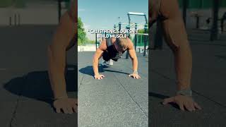 Getting big with Calisthenics?