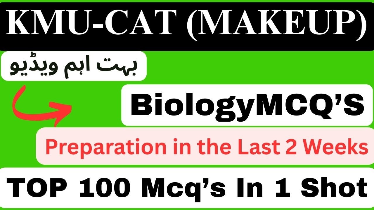 ✨KMU-CAT MAKEUP (2025-26) 3-й курс | Вторая возможность, большие мечты 