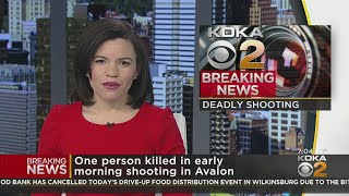 One Person Killed In Early Morning Shooting In Avalon