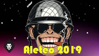 Aleteo, Guaracha, Zapateo (Julio 2019)(Parte 1)