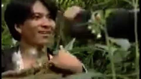 Pov Qaib Dib thiab Pov Vam Phiab taus ua kev ib zaug Movie