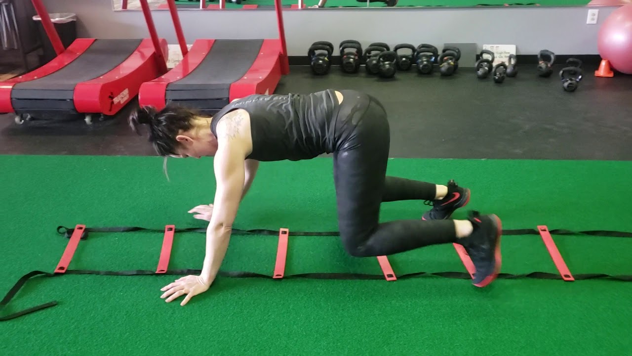 Agility Bear Crawl Tap Through YouTube