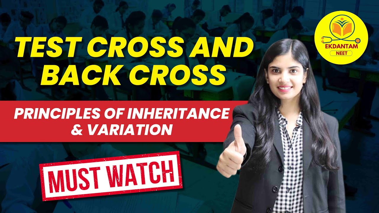 Test Cross And Back Cross Principles Of Inheritance And Variation test-cross-and-back-cross-principles-of-inheritance-and-variation