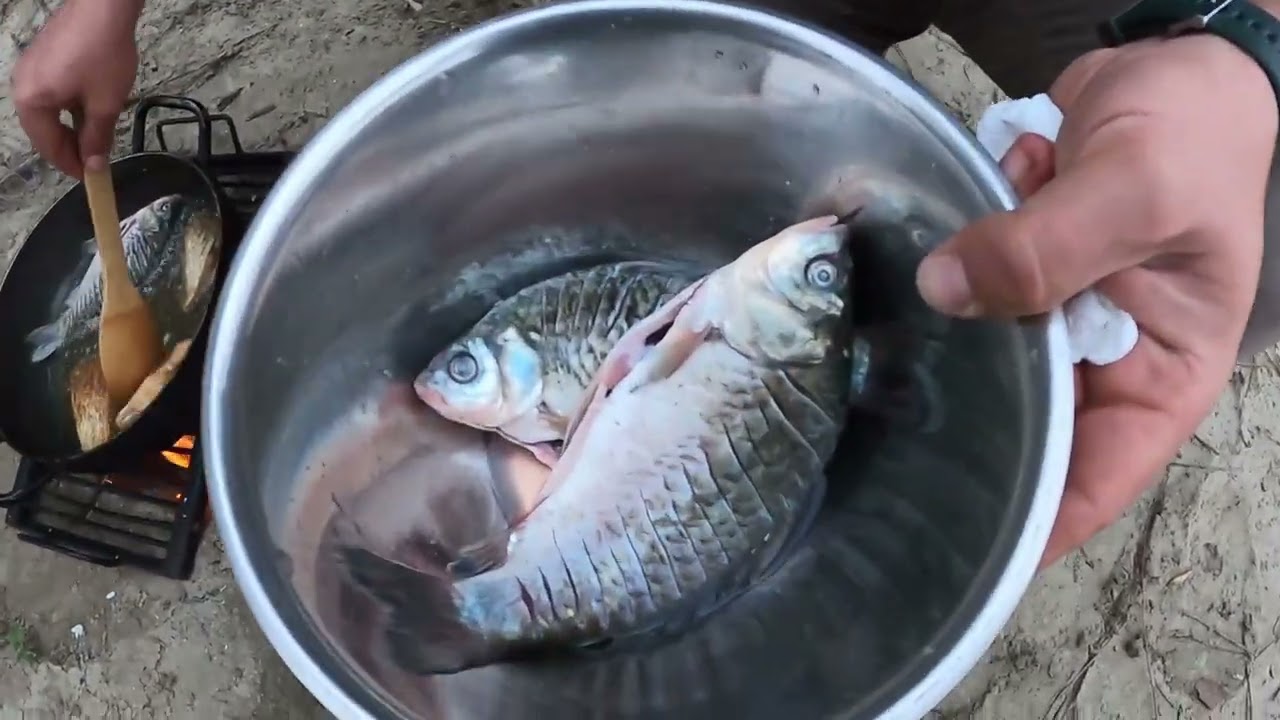 С Гугу через Дельту 🥰 Часть 3: Чилийская Рукав 🐟🎣