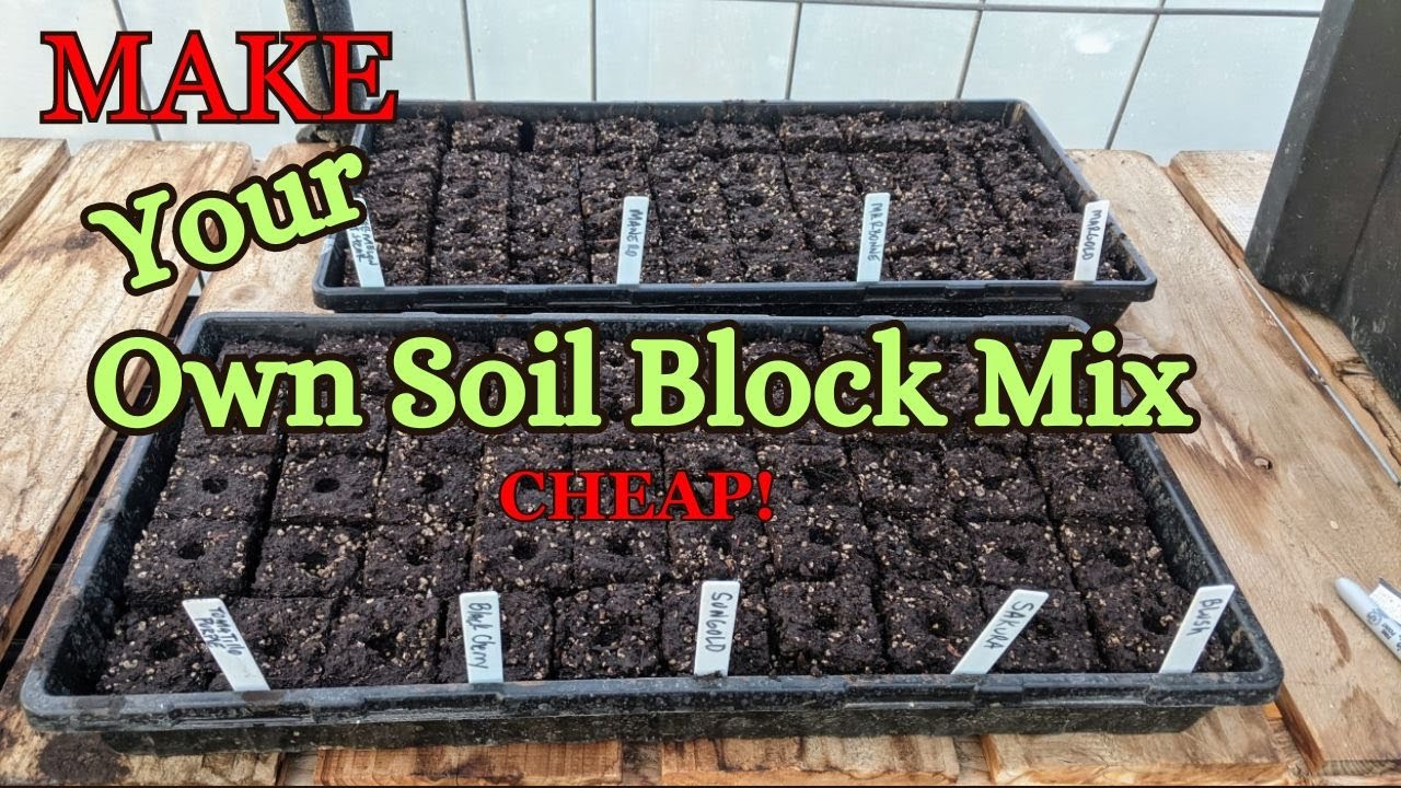 Make your own Soil Blocks Potting Mix Cheap! YouTube