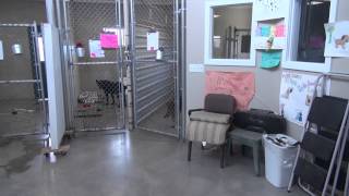 Whitman County Humane Society