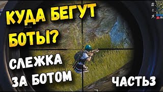 ЭКСПЕРИМЕНТЫ И МИФЫ С БОТАМИ В PUBG MOBILE ЧАСТЬ 3. ЧТО БУДЕТ ЕСЛИ ПРОСЛЕДИТЬ ЗА БОТОМ?