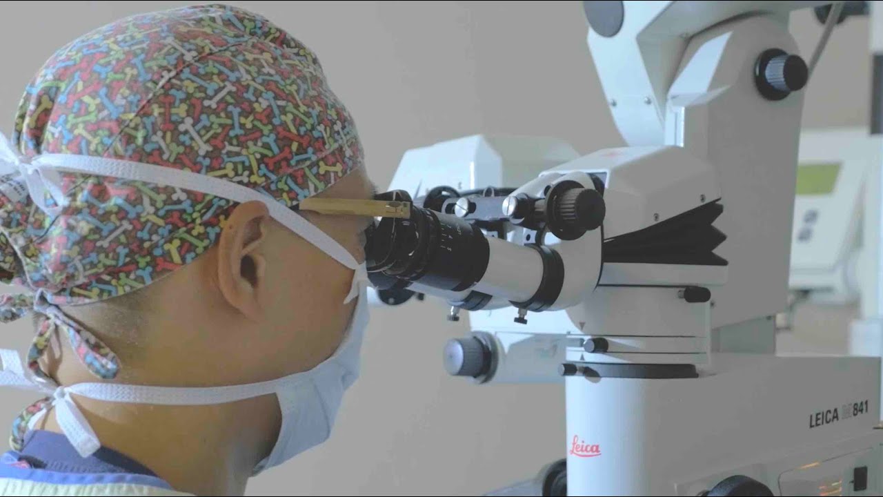 VSH Dr Derek - What is a Veterinary Ophthalmologist?