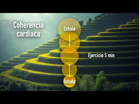 Coherencia Cardíaca - Ejercicio 5 minutos (respiración)