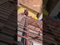 9182191132