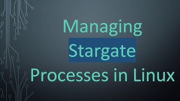 Managing Stargate Processes in Linux