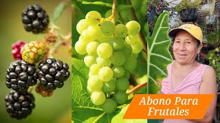 MANTEN los arboles FRUTALES en Maceta CARGADOS siempre con FRUTOS Y FLORECIDOS  Uva y Mora y Otros