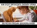 Как будут проходить онлайн-уроки обучения письму /// Почерк красивый и быстрый // Каллиграфъ / 125