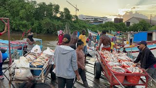 GUYANA LARGEST FISH MARKET screenshot 5