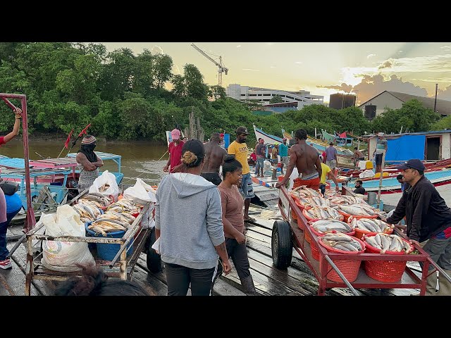 GUYANA LARGEST FISH MARKET class=