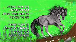 Video thumbnail of "שיר עד - רוץ ודהר סוסי אביר - מילים ולחן: עממי יוגוסלבי | עברית: לא ידוע | ביצוע: חבורת שהם, 2012"