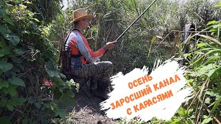 Рыбалка На Удочку, Осенний Карась