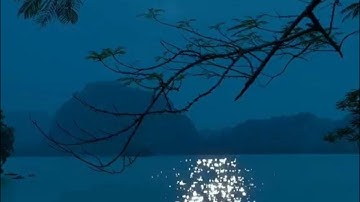 سورة المعارج بصوت القارئ وديع اليمنى