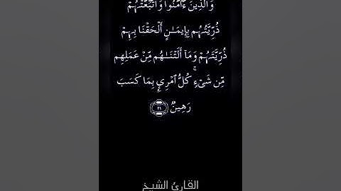 تلاوة عطرة بصوت الشيخ/ عبدالله المطرود من سورة الطور