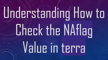 Understanding How to Check the NAflag Value in terra