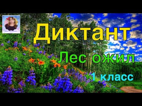 Диктант для 1 класса по теме " Буквосочетания жи-ши, ча-ща, чу-щу"