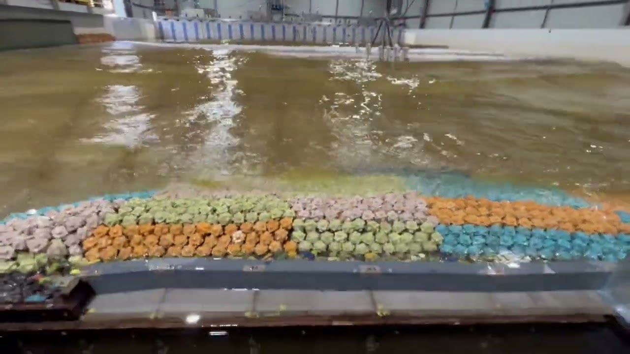 2025 Wellington Airport - wave basin