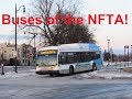 Neoplandude  s7ep39 buses of the nftaweekday edition
