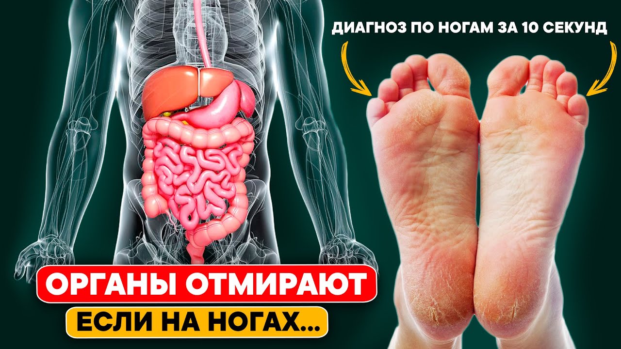 Так СТАРЫЕ ВРАЧИ определяют БОЛЕЗНИ. Методы раннего определения ...