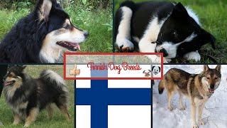 Finnish Dog Breeds