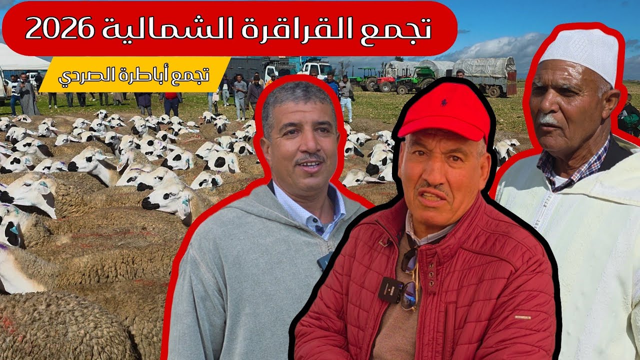 تجمع أباطرة الصردي في  القراقرة الشمالية لوشم أجود الفحول لسنة 2026