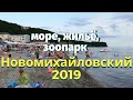 Новомихайловский   Море, жильё, террариум