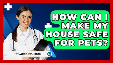 How Can I Make My House Safe For Pets? - PetGuide360.com
