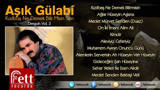 Aşık Gülabi - Oniki İmam Alim Ali