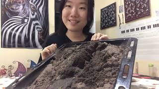 Upper elementary teaching video about science. EDUC 225