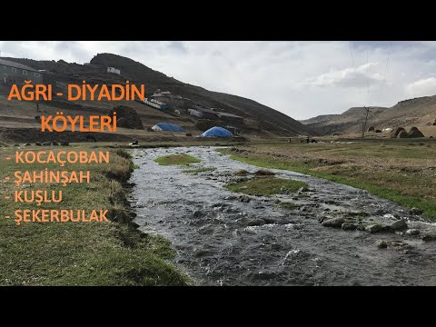 Ağrı Diyadin Köyleri; Kocaçoban, Şahinşah, Kuşlu, Şekerbulak (01.10.2020)