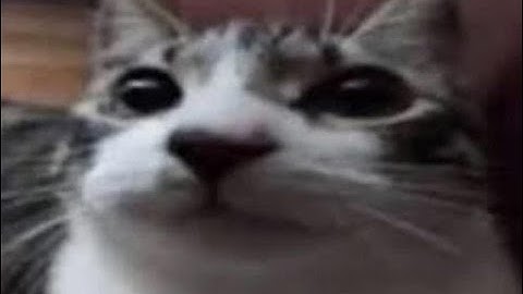 57s 041ms PB | Asia: Countries (Seterra - Geoguessr)