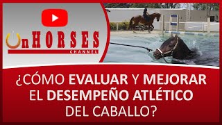 ¿CÓMO EVALUAR Y MEJORAR EL DESEMPEÑO ATLÉTICO DEL CABALLO? | On HORSES CHANNEL | SANTIAGO TOBÓN