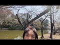 ミキヤ│水晶玉の人 がライブ配信中！九華公園(三重)