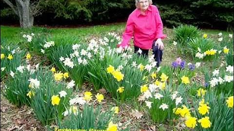 IN THE GARDEN  BY-TESTAVIEW & LEONARD  THE PAYNES.wmv