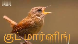 WA VID 20190626 980524d8