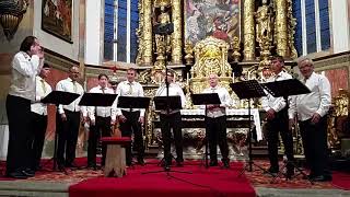 "Ave Maria- Wenn ich ein Glöcklein wär" - Die Vokalsolisten Kärnten (live) chords