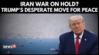 Iran War Ends? Trump Pauses 'Project Freedom' To Help Ships Exit Hormuz | U.S-Iran War | N18G